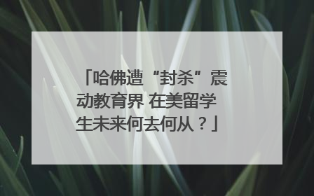 哈佛遭“封杀”震动教育界 在美留学生未来何去何从？
