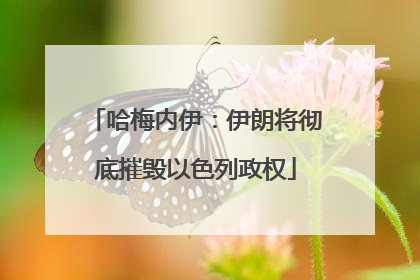 哈梅内伊：伊朗将彻底摧毁以色列政权