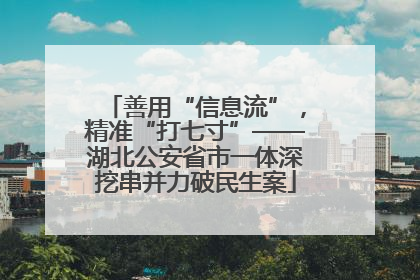 善用“信息流”，精准“打七寸”——湖北公安省市一体深挖串并力破民生案