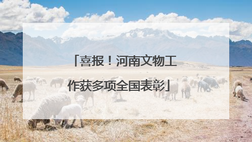 喜报！河南文物工作获多项全国表彰