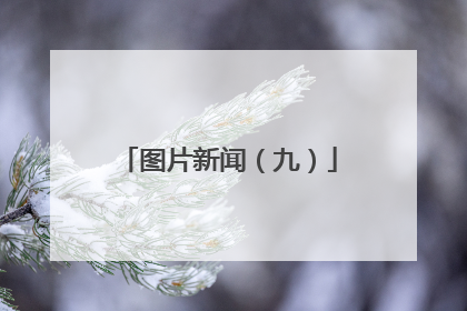 图片新闻（九）