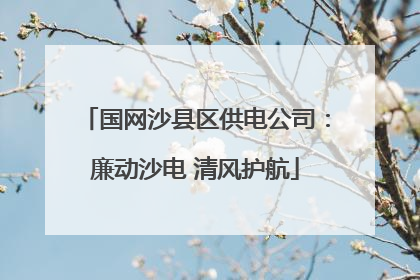 国网沙县区供电公司：廉动沙电 清风护航
