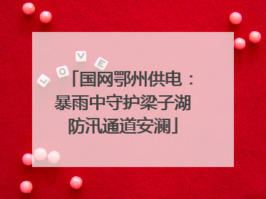 国网鄂州供电：暴雨中守护梁子湖防汛通道安澜