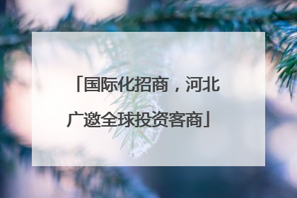 国际化招商，河北广邀全球投资客商