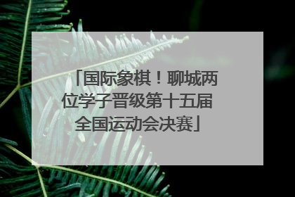 国际象棋！聊城两位学子晋级第十五届全国运动会决赛