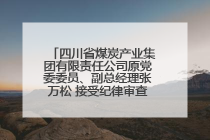 四川省煤炭产业集团有限责任公司原党委委员、副总经理张万松 接受纪律审查和监察调查