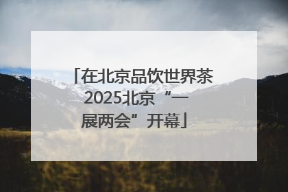 在北京品饮世界茶 2025北京“一展两会”开幕