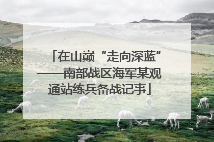 在山巅“走向深蓝”——南部战区海军某观通站练兵备战记事