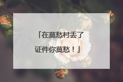 在莫愁村丢了证件你莫愁！