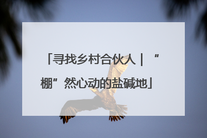 寻找乡村合伙人｜“棚”然心动的盐碱地