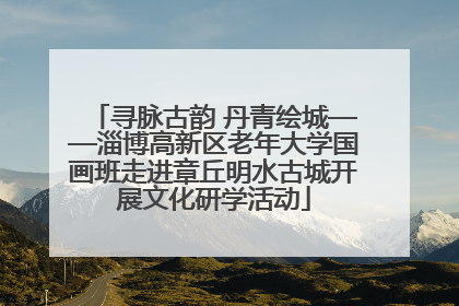寻脉古韵 丹青绘城——淄博高新区老年大学国画班走进章丘明水古城开展文化研学活动