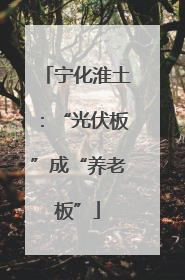 宁化淮土：“光伏板”成“养老板”