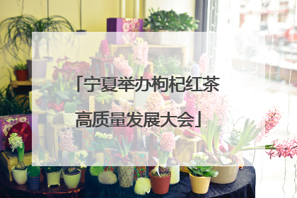 宁夏举办枸杞红茶高质量发展大会