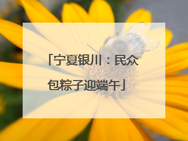 宁夏银川：民众包粽子迎端午