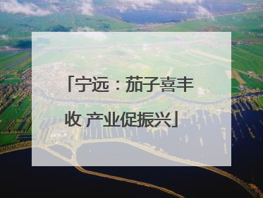 宁远：茄子喜丰收 产业促振兴