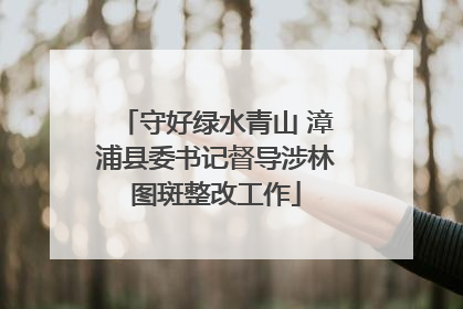 守好绿水青山 漳浦县委书记督导涉林图斑整改工作