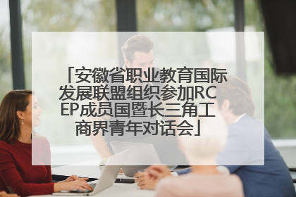 安徽省职业教育国际发展联盟组织参加RCEP成员国暨长三角工商界青年对话会