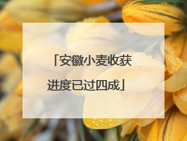 安徽小麦收获进度已过四成