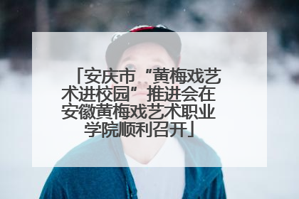安庆市“黄梅戏艺术进校园”推进会在安徽黄梅戏艺术职业学院顺利召开