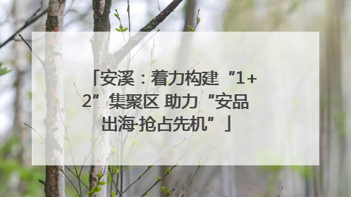 安溪：着力构建“1+2”集聚区 助力“安品出海·抢占先机”