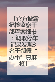 官方披露纪检监察干部查案细节：调取停车记录发现3名干部假“办事”真麻将