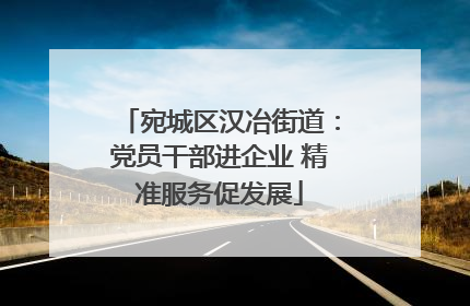 宛城区汉冶街道：党员干部进企业 精准服务促发展