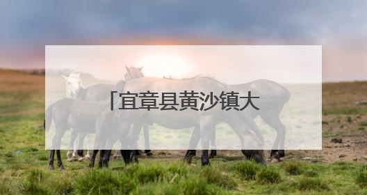 宜章县黄沙镇大元村：四类乡村建设扮靓乡村风貌 美丽家园焕新颜