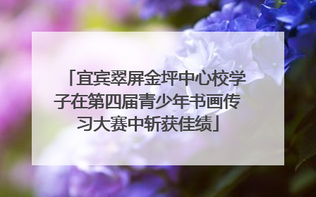 宜宾翠屏金坪中心校学子在第四届青少年书画传习大赛中斩获佳绩