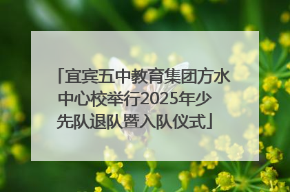 宜宾五中教育集团方水中心校举行2025年少先队退队暨入队仪式