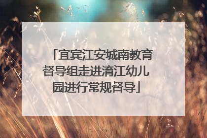 宜宾江安城南教育督导组走进淯江幼儿园进行常规督导