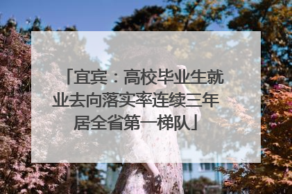 宜宾：高校毕业生就业去向落实率连续三年居全省第一梯队