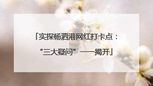 实探杨泗港网红打卡点：“三大疑问”一一揭开