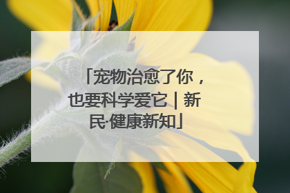 宠物治愈了你，也要科学爱它｜新民·健康新知