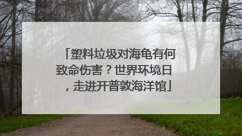 塑料垃圾对海龟有何致命伤害？世界环境日，走进开普敦海洋馆