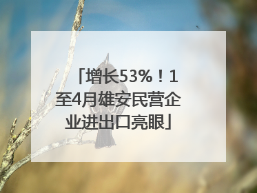 增长53%！1至4月雄安民营企业进出口亮眼