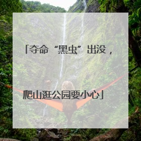 夺命“黑虫”出没，爬山逛公园要小心