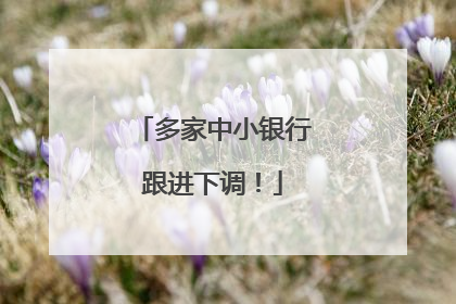 多家中小银行跟进下调！