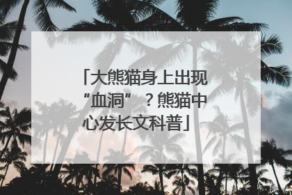 大熊猫身上出现“血洞”？熊猫中心发长文科普