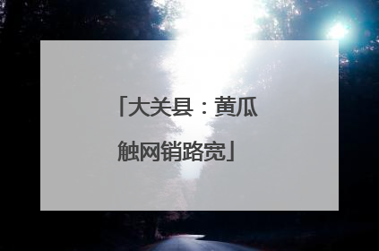 大关县：黄瓜触网销路宽