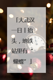 大武汉一日丨抬头，地铁站里有“蝴蝶”