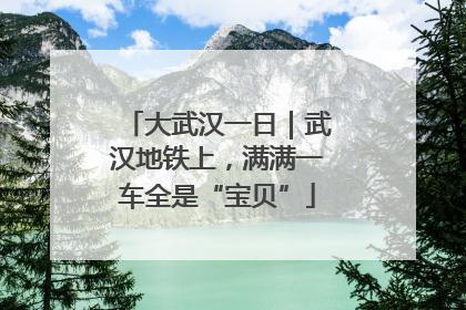 大武汉一日｜武汉地铁上，满满一车全是“宝贝”