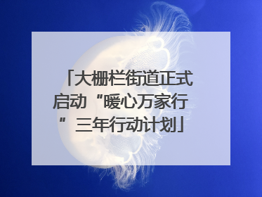 大栅栏街道正式启动“暖心万家行”三年行动计划