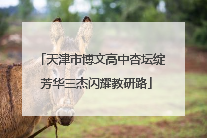 天津市博文高中杏坛绽芳华三杰闪耀教研路
