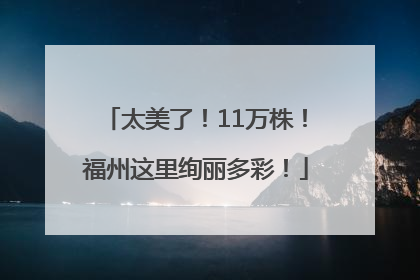 太美了！11万株！福州这里绚丽多彩！