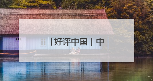 好评中国丨中非合作：典范之路 续写辉煌