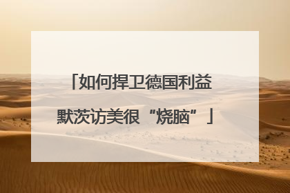如何捍卫德国利益 默茨访美很“烧脑”