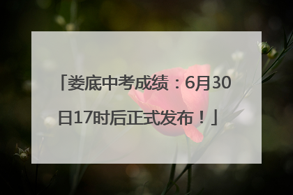 娄底中考成绩：6月30日17时后正式发布！