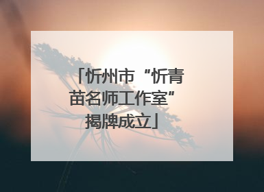 忻州市“忻青苗名师工作室”揭牌成立