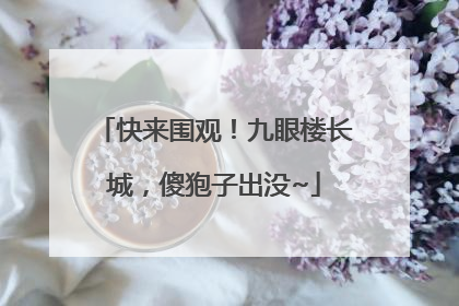 快来围观！九眼楼长城，傻狍子出没~