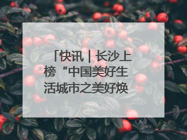 快讯｜长沙上榜“中国美好生活城市之美好焕新典范城市”